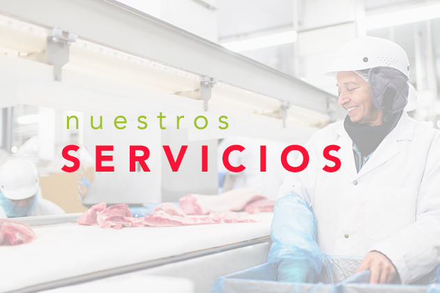 Distribuidora de carnes de res - La Ternerita