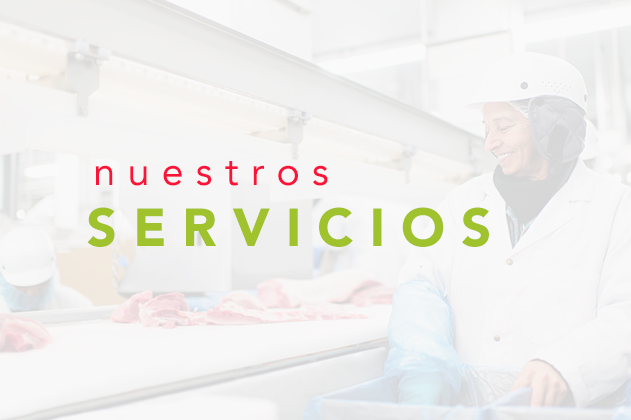 Distribuidora de carnes de res - La Ternerita